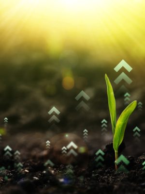 shutterstock_2518211453