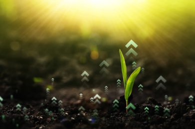 shutterstock_2518211453