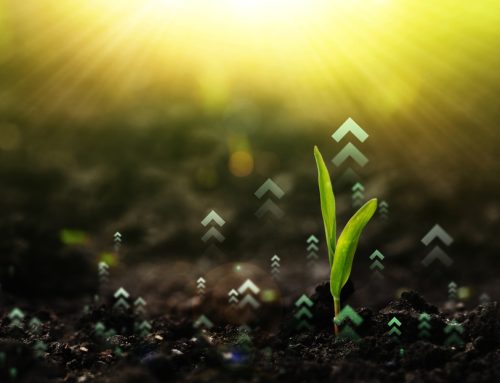 Program obuke „Znanjem za životnu sredinu“ – prijave do 23. novembra!