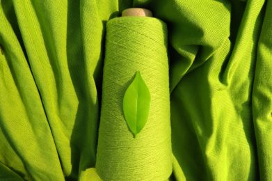 Greensustainable,Fashion:,Leaf,On,A,Green,Yarn,Cone,With,A
