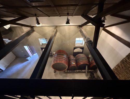 Najstarije vino u Srbiji