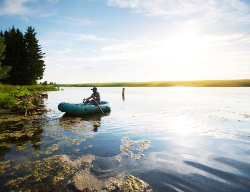 Svaka kap ima svoju priču: Evropska nedelja zelene diplomatije 2025 počinje